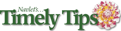 Navlet's Timely Tips