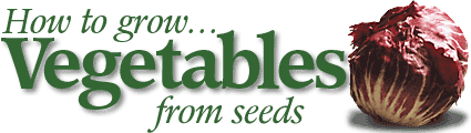 How To Grow Vegetables From Seeds