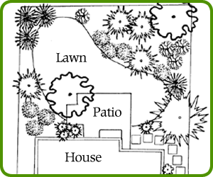 Next Class: Pruning Roses