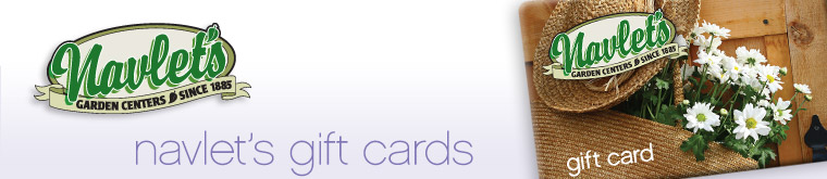 Navlet's Gift Cards