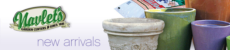 Navlet's Timely Tips