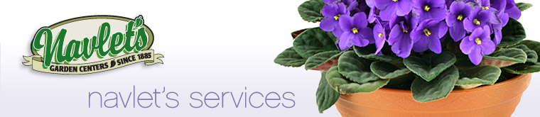 Navlet's Services