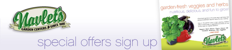 Navlet's Special Offers Sign Up