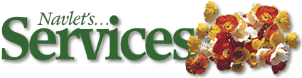 Navlet's Services