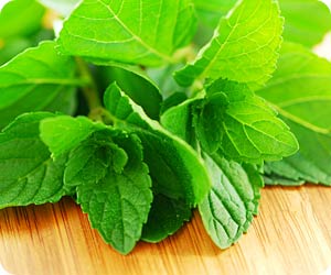 How to Grow an Herb Tower