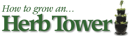 How To Grow an Herb Tower