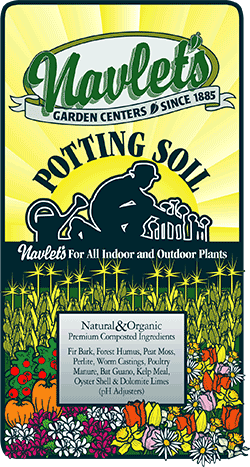 Navlet's Potting Soil